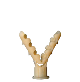 Chazos Nylon